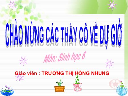 Bài giảng Sinh học Lớp 6 - Bài 25: Thực hành Biến dạng của lá - Trương Thị Hồng Nhung