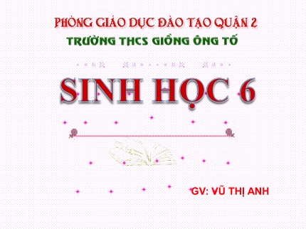 Bài giảng Sinh học Lớp 6 - Bài 26: Tổng kết về cây có hoa - Vũ Thị Anh