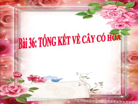 Bài giảng Sinh học Lớp 6 - Bài 36: Tổng kết về cây có hoa
