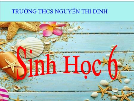 Bài giảng Sinh học Lớp 6 - Bài 4: Có phải tất cả các thực vật đều có hoa - Trường THCS Nguyễn Thị Định