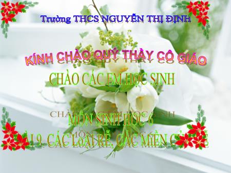 Bài giảng Sinh học Lớp 6 - Chương II: Rễ - Tiết 8, Bài 9: Các loại rễ, các miền của rễ - Trường THCS Nguyễn Thị Định