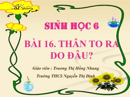 Bài giảng Sinh học Lớp 6 - Tiết 18, Bài 16: Thân to ra do đâu - Trương Thị Hồng Nhung