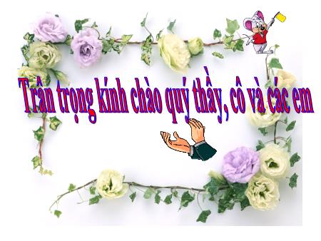 Bài giảng Sinh học Lớp 6 - Tiết 23, Bài 20: Cấu tạo trong của phiến lá