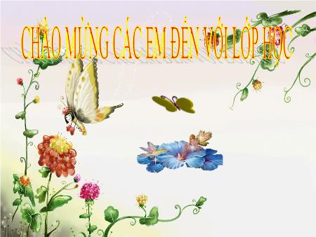 Bài giảng Sinh học Lớp 6 - Tiết 24, Bài 21: Quang hợp (Tiếp theo)