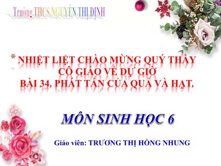 Bài giảng Sinh học Lớp 6 - Tiết 41, Bài 34: Phát tán của quả và hạt - Trương Thị Hồng Nhung