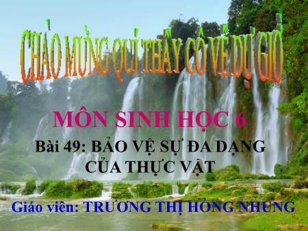 Bài giảng Sinh học Lớp 6 - Tiết 59, Bài 49: Bảo vệ sự đa dạng của thực vật - Trương Thị Hồng Nhung