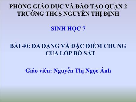 Bài giảng Sinh học Lớp 7 - Bài 40: Đa dạng và đặc điểm chung của lớp bò sát - Nguyễn Thị Ngọc Ánh
