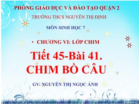 Bài giảng Sinh học Lớp 7 - Chương VI: Lớp chim - Tiết 45, Bài 41: Chim bồ câu - Nguyễn Thị Ngọc Ánh