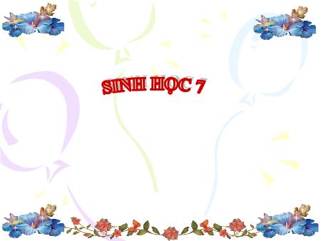 Bài giảng Sinh học Lớp 7 - Tiết 41, Bài 39: Cấu tạo trong của thằn lằn