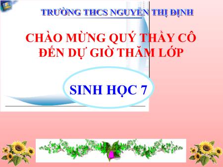 Bài giảng Sinh học Lớp 7 - Tiết 44: Cấu tạo trong của chim bồ câu - Trường THCS Nguyễn Thị Định