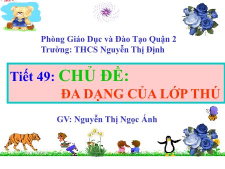Bài giảng Sinh học Lớp 7 - Tiết 49: Chủ đề Đa dạng của lớp thú - Nguyễn Thị Ngọc Ánh