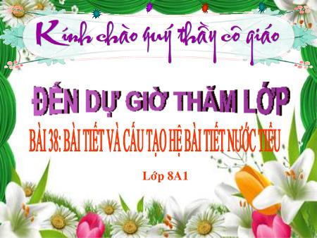 Bài giảng Sinh học Lớp 8 - Chương VII: Bài tiết - Tiết 42, Bài 38: Bài tiết và cấu tạo hệ bài tiết nước tiểu - Năm học 2015-2016