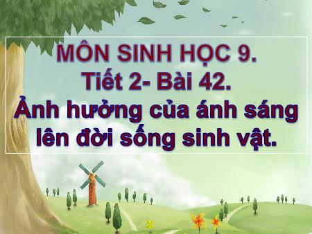 Bài giảng Sinh học Lớp 9 - Tiết 2, Bài 42: Ảnh hưởng của ánh sáng lên đời sống sinh vật