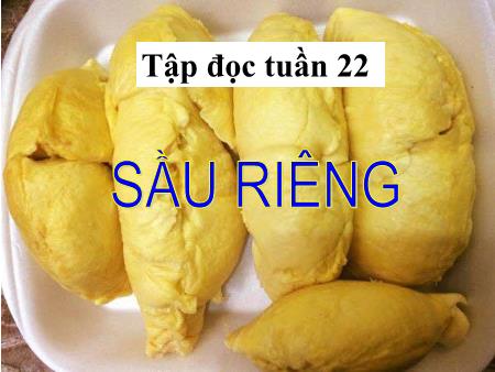 Bài giảng Tập đọc Lớp 4 - Tuần 22, Bài: Sầu riêng