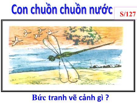 Bài giảng Tập đọc Lớp 4 - Tuần 31, Bài: Con chuồn chuồn nước Bài giảng Tập đọc Lớp 4 - Tuần 31, Bài: Con chuồn chuồn nước