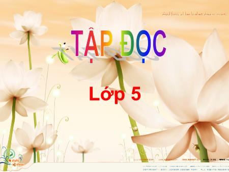 Bài giảng Tập đọc Lớp 5 - Tuần 31, Bài: Công việc đầu tiên Bài giảng Tập đọc Lớp 5 - Tuần 31, Bài: Công việc đầu tiên
