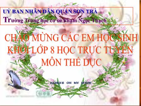 Bài giảng Thể dục Lớp 8 - Bài: Chạy bền - Võ Nguyên Thiệu