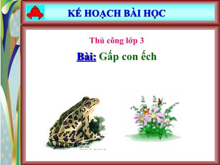 Bài giảng Thủ công Lớp 3 - Tuần 3, Bài: Gấp con ếch