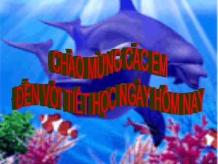 Bài giảng Toán 7 - Tiết 52: Khái niệm về biểu thức đại số