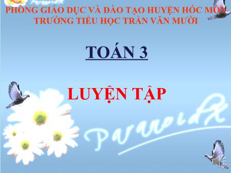 Bài giảng Toán Lớp 3 - Tuần 24, Bài: Luyện tập - Trường Tiểu học Trần Văn Mười