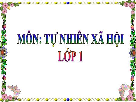 Bài giảng Tự nhiên và xã hội Lớp 1 - Bài 10: Ôn tập con người và sức khỏe