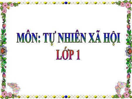 Bài giảng Tự nhiên và xã hội Lớp 1 - Bài 11: Gia đình