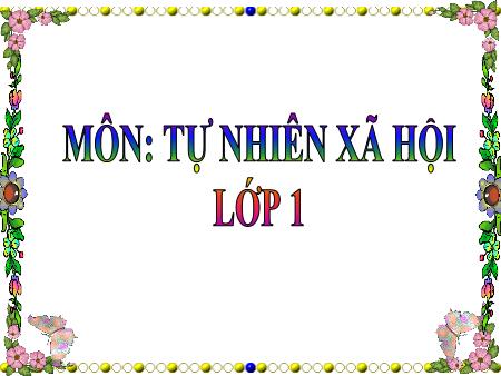 Bài giảng Tự nhiên và xã hội Lớp 1 - Tiết 2, Bài 19: Cuộc sống xung quanh