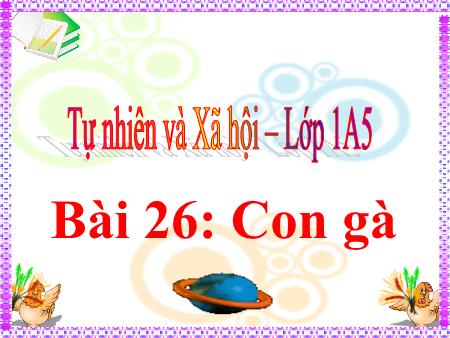 Bài giảng Tự nhiên và xã hội Lớp 1 - Tuần 26, Bài 26: Con gà