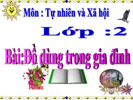 Bài giảng Tự nhiên và xã hội Lớp 2 - Bài 12: Đồ dùng trong gia đình