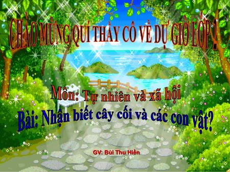 Bài giảng Tự nhiên và xã hội Lớp 2 - Bài 30: Nhận biết cây cối và các con vật - Bùi Thu Hiền