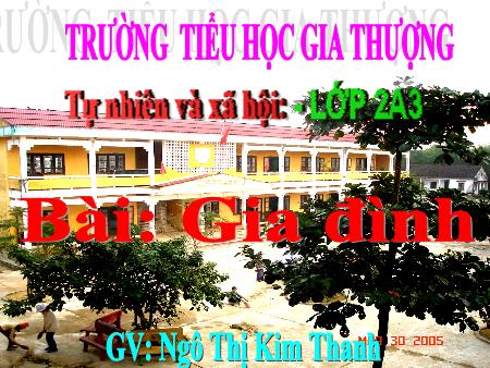 Bài giảng Tự nhiên và xã hội Lớp 2 - Tuần 11, Bài: Gia đình - Ngô Thị Kim Thanh