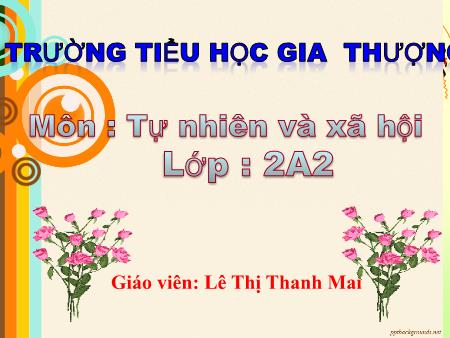 Bài giảng Tự nhiên và xã hội Lớp 2 - Tuần 13, Bài: Giữ sạch môi trường xung quanh nhà ở - Lê Thị Thanh Mai