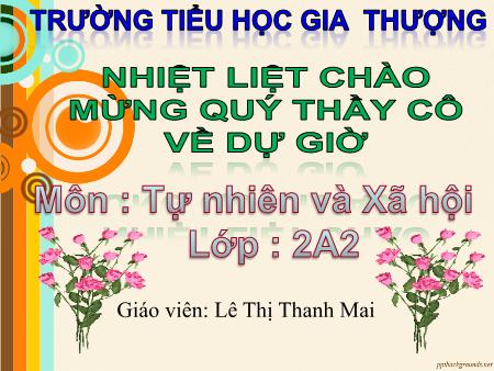 Bài giảng Tự nhiên và xã hội Lớp 2 - Tuần 2, Bài: Bộ xương - Lê Thị Thanh Mai