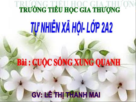 Bài giảng Tự nhiên và xã hội Lớp 2 - Tuần 22, Bài: Cuộc sống xung quanh (Tiếp theo) - Lê Thị Thanh Mai