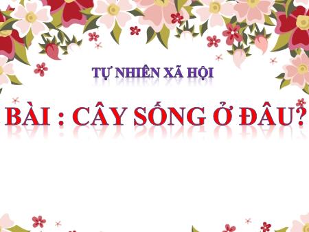 Bài giảng Tự nhiên và xã hội Lớp 2 - Tuần 24, Bài: Cây sống ở đâu