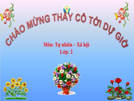 Bài giảng Tự nhiên và xã hội Lớp 2 - Tuần 25, Bài 25: Một số loài cây sống trên cạn