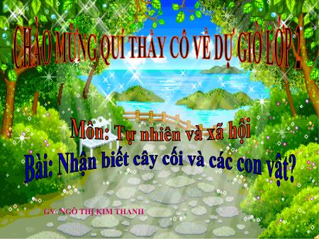 Bài giảng Tự nhiên và xã hội Lớp 2 - Tuần 30, Bài: Nhận biết cây cối và các con vật - Ngô Thị Kim Thanh