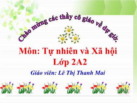 Bài giảng Tự nhiên và xã hội Lớp 2 - Tuần 6, Bài: Tiêu hóa thức ăn - Lê Thị Thanh Mai