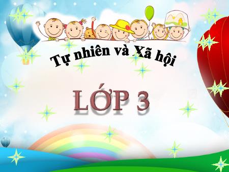 Bài giảng Tự nhiên và xã hội Lớp 3 - Bài 63: Ngày và đêm trên Trái Đất