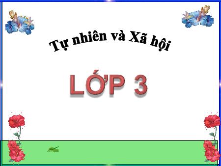 Bài giảng Tự nhiên và xã hội Lớp 3 - Bài 64: Năm, tháng và mùa