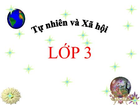 Bài giảng Tự nhiên và xã hội Lớp 3 - Bài 65: Các đới khí hậu