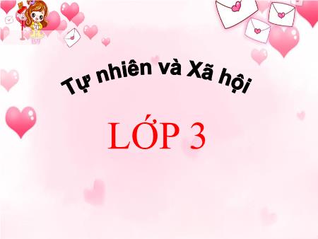Bài giảng Tự nhiên và xã hội Lớp 3 - Bài 66: Bề mặt Trái Đất
