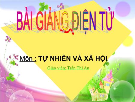 Bài giảng Tự nhiên và xã hội Lớp 3 - Bài: Máu và cơ quan tuần hoàn - Trần Thị An