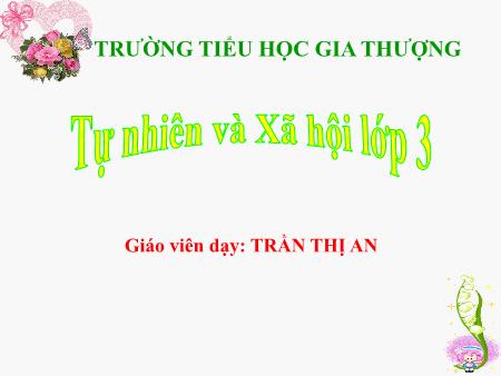 Bài giảng Tự nhiên và xã hội Lớp 3 - Bài: Thực vật - Trần Thị An