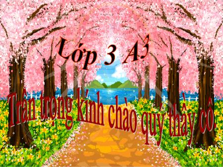 Bài giảng Tự nhiên và xã hội Lớp 3 - Bài: Vệ sinh môi trường (Tiếp theo)