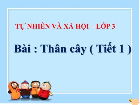 Bài giảng Tự nhiên và xã hội Lớp 3 - Tiết 1, Bài 41: Thân cây