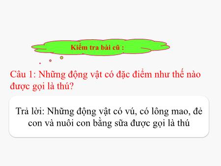 Bài giảng Tự nhiên và xã hội Lớp 3 - Tiết 1, Bài 56+57: Thực hành Đi thăm thiên nhiên