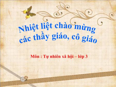 Bài giảng Tự nhiên và xã hội Lớp 3 - Tiết 37, Bài 37: Vệ sinh môi trường (Tiếp theo)