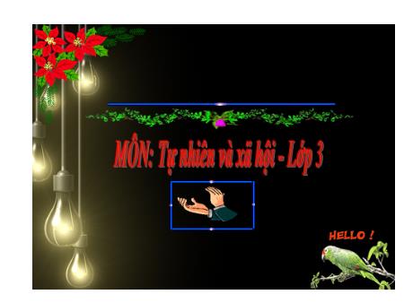 Bài giảng Tự nhiên và xã hội Lớp 3 - Tuần 21, Bài 41+42: Thân cây