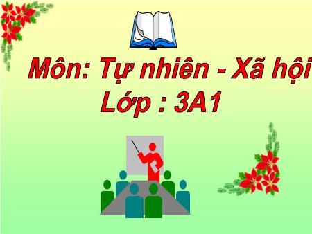 Bài giảng Tự nhiên và xã hội Lớp 3 - Tuần 27, Bài 53: Chim